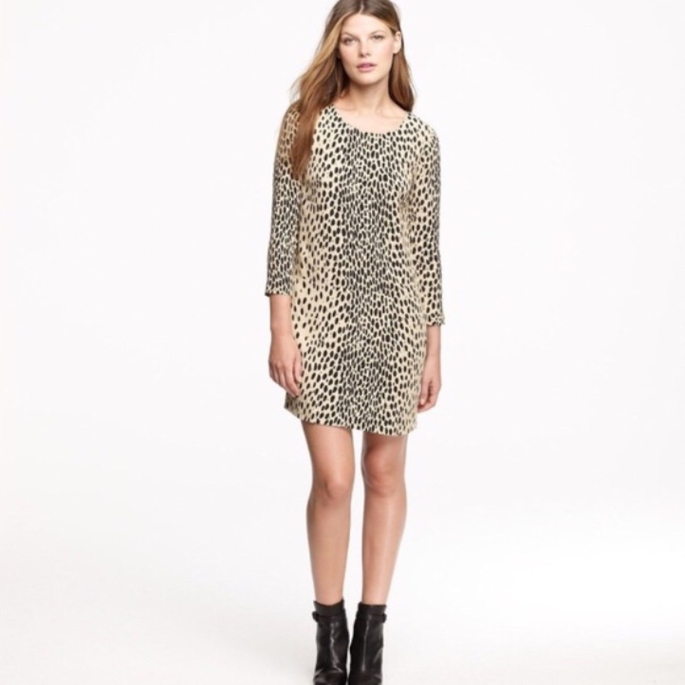 J.Crew Wildcat Dress